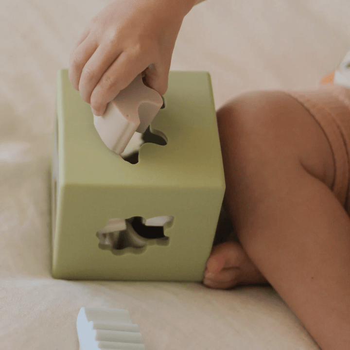 Close-Up-Of-Over-The-Dandelions-Silicone-Sorting-Box-Naked-Baby-Eco-Boutique
