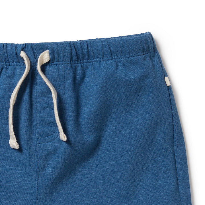 A boy's Wilson & Frenchy organic blue tie front kids shorts with a drawstring.