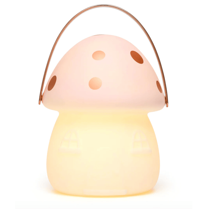 A Little Belle Nightlights Fairy House Carry Lantern providing nighttime illumination.