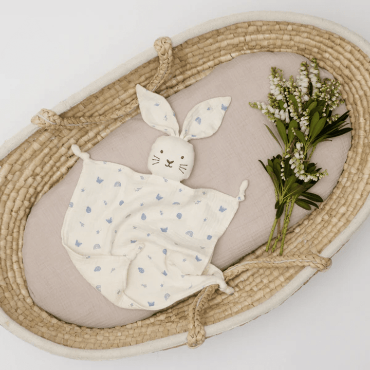 Over-The-Dandelions-Organic-Muslin-Comforter-Enchanted-Garden-In-Bassinet-Naked-Baby-Eco-Boutique