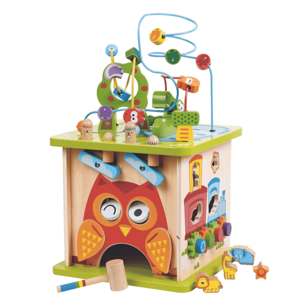 The Hape Wildlife Safari Adventure Centre - LUCKY LAST is a vibrant and engaging activity cube made from sturdy wood, showcasing a delightful owl face, a bead maze, colorful safari-themed gears, and various playful elements on its sides to encourage cognitive development.