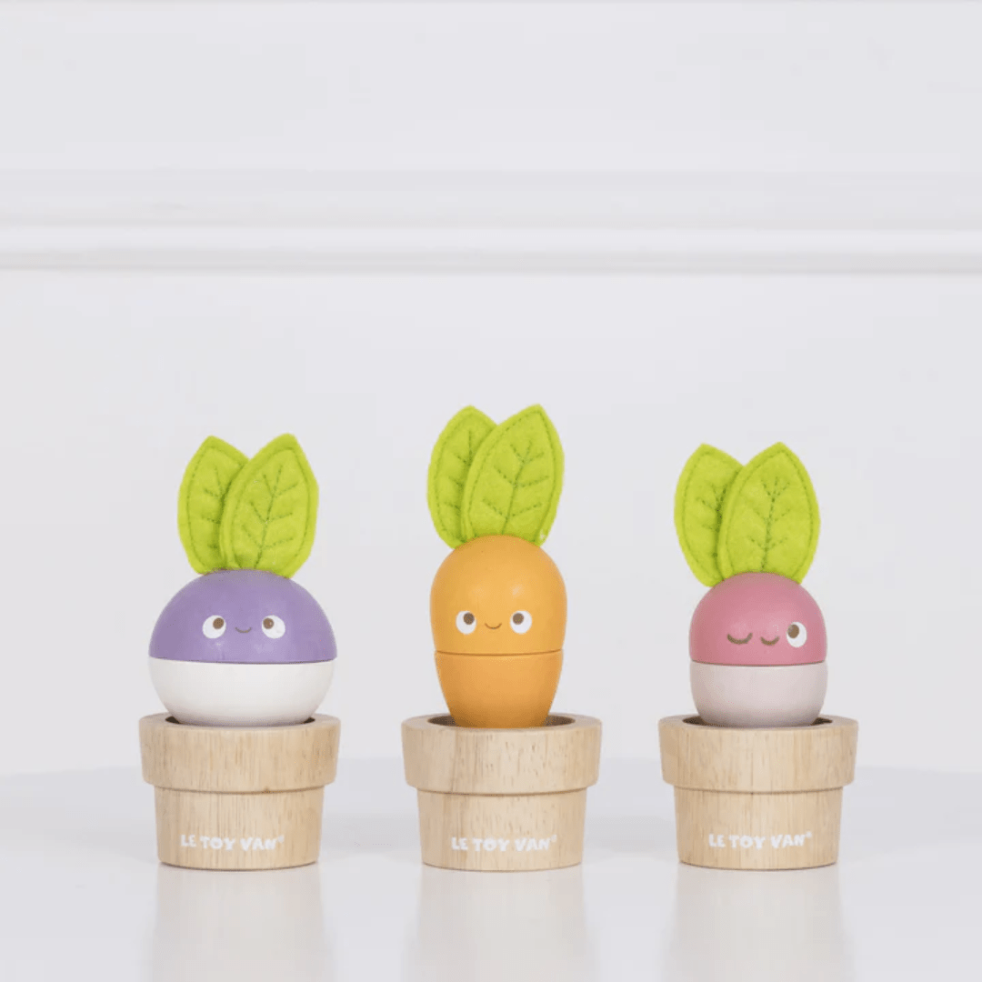 Discover the delightful Le Toy Van Stacking Veggies - LUCKY LAST, a charming set of three wooden toy plants in pots. Crafted from sustainable wood, each plant features a unique color—one purple, one orange, and one pink—with smiling faces and green felt leaves. These enchanting stacking toys are designed to nurture fine motor skills in little hands.