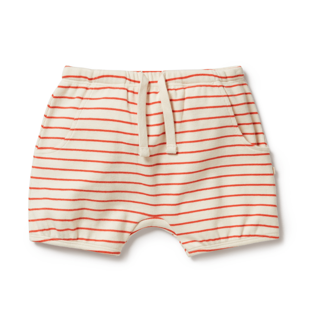 Wilson & Frenchy Organic Rib Stripe Kids Bloomer Shorts for babies with a red and orange stripe, made from GOTS-certified organic cotton. (Product Name: Wilson & Frenchy Organic Rib Stripe Kids Bloomer Shorts) (Brand Name: Wilson & Frenchy)