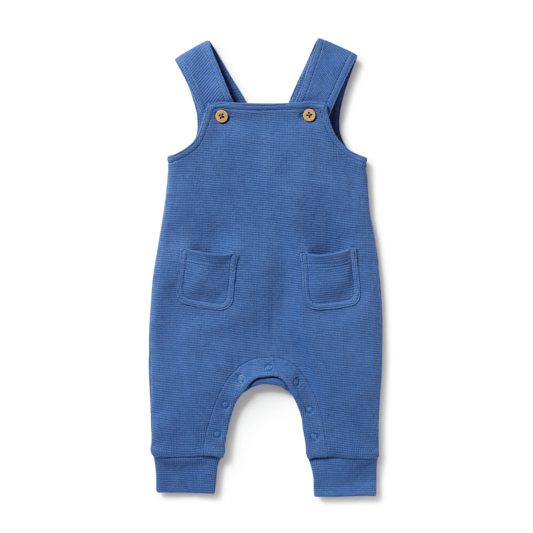 Introducing the Wilson & Frenchy Organic Waffle Overalls in Brilliant Blue for 18-24 months, a GOTS-certified piece featuring two buttoned shoulder straps, two front pockets, and closed feet.