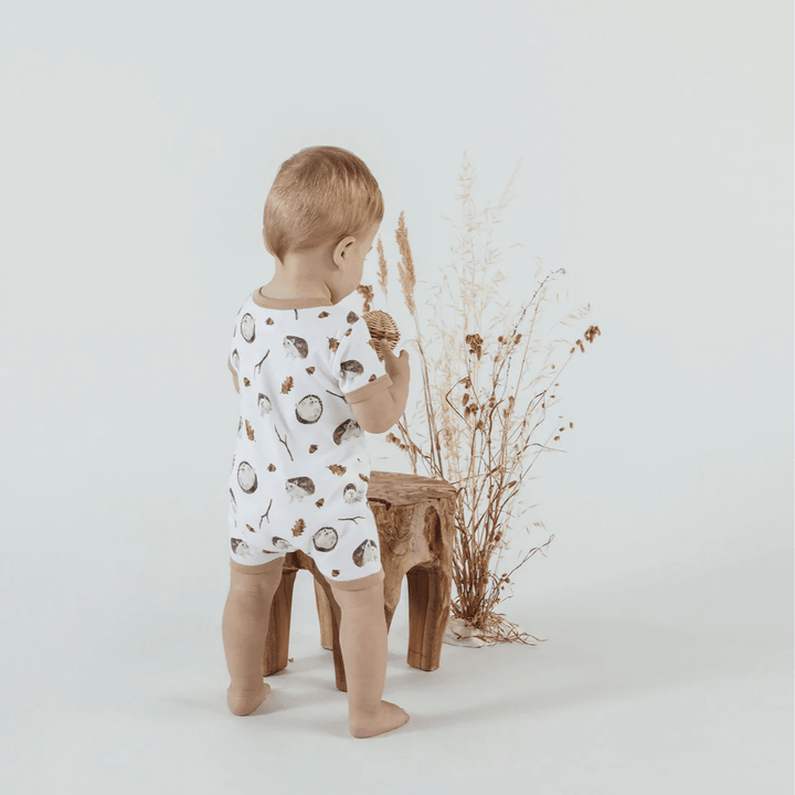 Aster & Oak Organic Cotton Zip Romper (Multiple Variants) - Naked Baby Eco Boutique