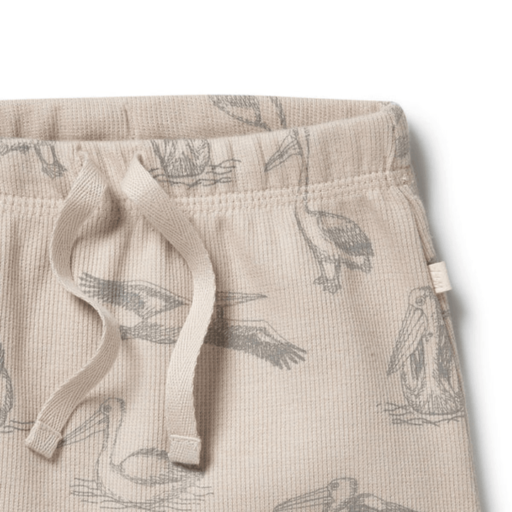 Close-Up-Of-Wilson-And-Frenchy-Organic-Rib-Tie-Front-Shorts-Little-Pelican-Naked-Baby-Eco-Boutique