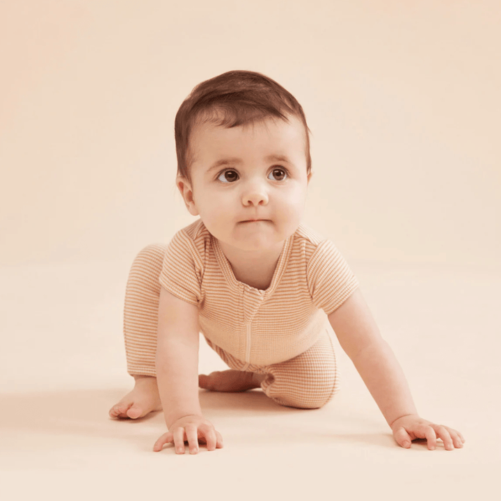 Cute-Baby-Crawling-Wearing-Styled-Flatlay-of-Wilson-and-Frenchy-Organic-Stripe-Rib-Zipsuit-Toffee-Stripe-Naked-Baby-Eco-Boutique