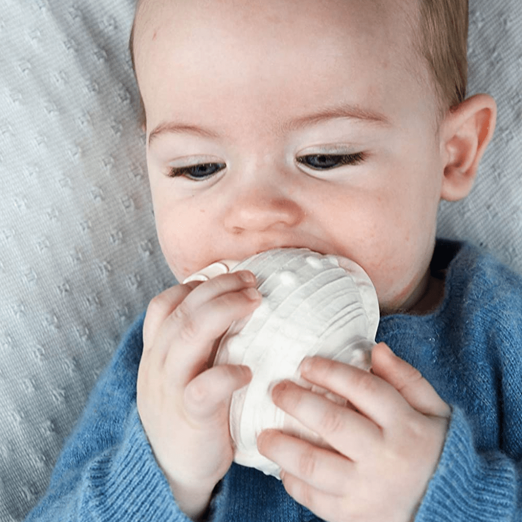 Lanco Karacola Whelk Shell Natural Rubber Teether - Naked Baby Eco Boutique