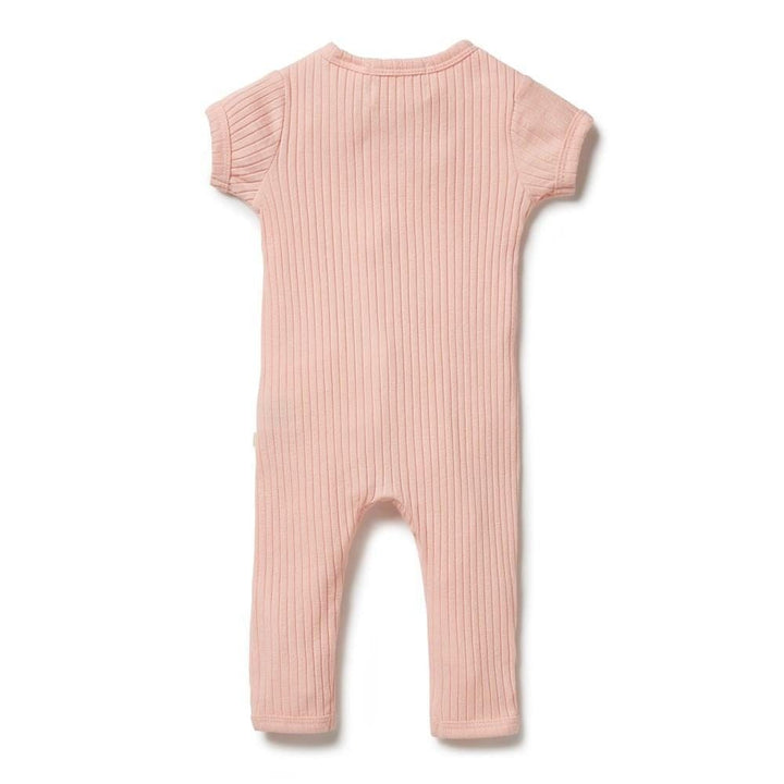 Wilson & Frenchy Organic Rib Zipsuit (Multiple Variants) - Naked Baby Eco Boutique