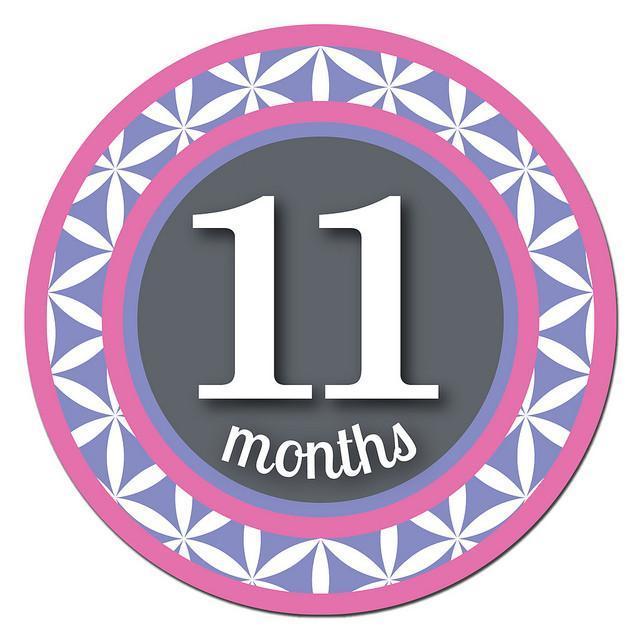 Sticky Bellies Milestone Stickers - Patterned Princess - Naked Baby Eco Boutique