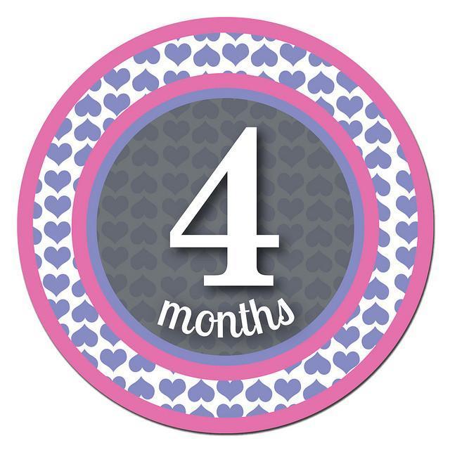 Sticky Bellies Milestone Stickers - Patterned Princess - Naked Baby Eco Boutique